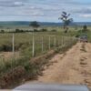 Fazenda em Curvelo - MG - Image 5