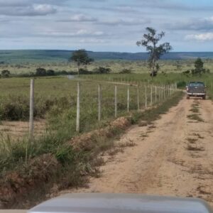 Fazenda em Curvelo - MG