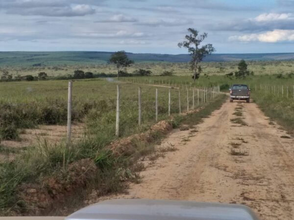 Fazenda em Curvelo - MG