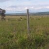 Fazenda em Curvelo - MG - Image 6