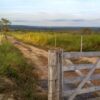 Fazenda em Curvelo - MG - Image 7