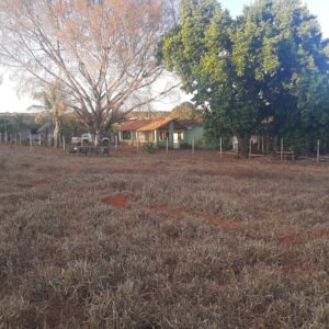Sitio em Curvelo - MG