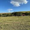 Fazenda em Roseira Velha - SP - Image 4
