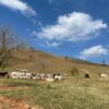 Fazenda em Roseira Velha - SP - Image 8