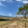 Fazenda em Roseira Velha - SP - Image 10