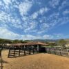 Fazenda em Roseira Velha - SP - Image 16