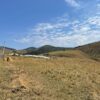 Fazenda em Roseira Velha - SP - Image 25