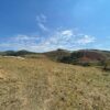 Fazenda em Roseira Velha - SP - Image 26