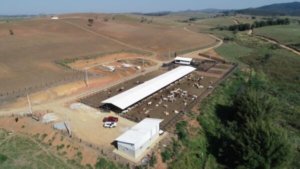 Fazenda em Roseira Velha - SP