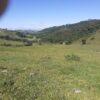 Fazenda em Pouso Alegre - MG - Image 2