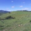 Fazenda em Pouso Alegre - MG - Image 6