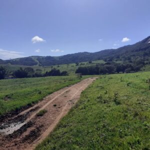 Fazenda em Pouso Alegre - MG