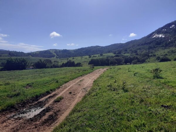 Fazenda em Pouso Alegre - MG