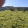 Fazenda em Pouso Alegre - MG - Image 7