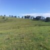 Fazenda em Pouso Alegre - MG - Image 10
