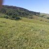 Fazenda em Pouso Alegre - MG - Image 8