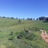 Fazenda em Pouso Alegre - MG - Image 12