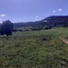 Fazenda em Pouso Alegre - MG - Image 14