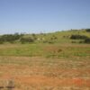 Fazenda em Guaxupé - MG - Image 20