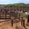 Fazenda em Guaxupé - MG - Image 6