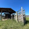 Fazenda em Pindamonhangaba - SP - Image 7