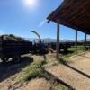 Fazenda em Pindamonhangaba - SP - Image 4