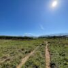 Fazenda em Pindamonhangaba - SP - Image 6