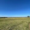 Fazenda em Pindamonhangaba - SP - Image 8
