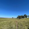 Fazenda em Pindamonhangaba - SP - Image 9