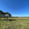 Fazenda em Pindamonhangaba - SP - Image 10
