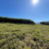 Fazenda em Pindamonhangaba - SP - Image 12