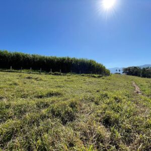 Fazenda em Pindamonhangaba - SP
