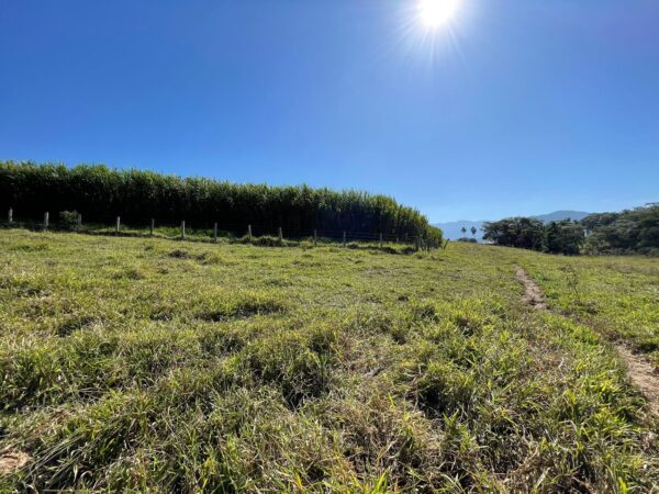 Fazenda em Pindamonhangaba - SP
