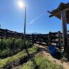 Fazenda em Pindamonhangaba - SP - Image 16