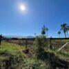 Fazenda em Pindamonhangaba - SP - Image 15