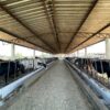 Fazenda em Pindamonhangaba - SP - Image 17