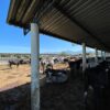 Fazenda em Pindamonhangaba - SP - Image 21