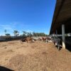 Fazenda em Pindamonhangaba - SP - Image 19