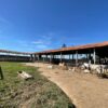 Fazenda em Pindamonhangaba - SP - Image 23