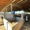 Fazenda em Pindamonhangaba - SP - Image 26
