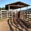 Fazenda em Passos - MG - Image 2