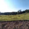 Fazenda em Passos - MG - Image 3