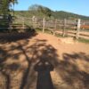 Fazenda em Passos - MG - Image 4