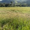 Fazenda em Passos - MG - Image 5