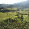 Fazenda em Passos - MG - Image 15