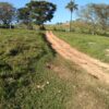 Fazenda em Passos - MG - Image 17