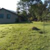 Fazenda em Passos - MG - Image 16
