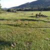 Fazenda em Passos - MG - Image 18