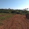 Fazenda em Passos - MG - Image 19