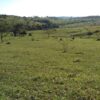 Fazenda em Passos - MG - Image 21